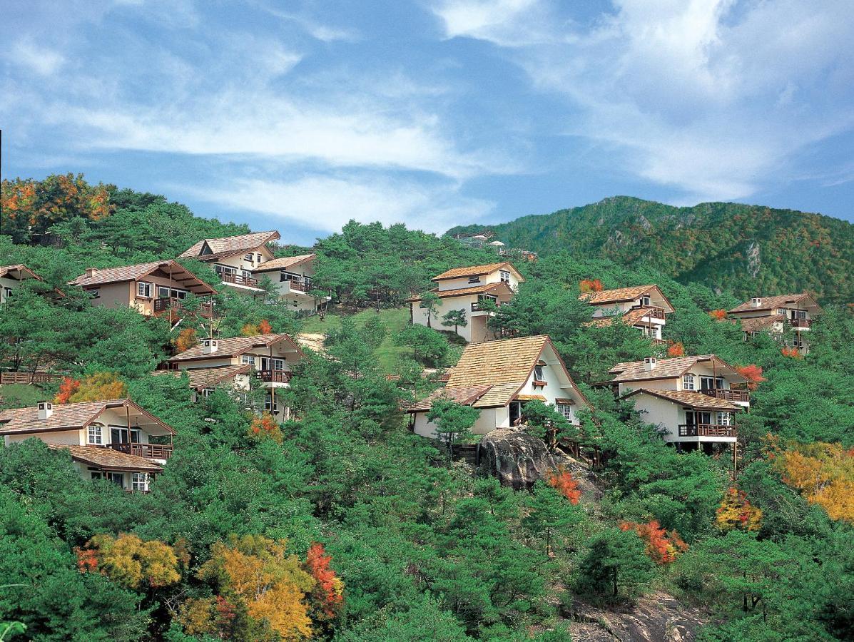 Club Es Jecheon Resort Chech'ŏn Exterior foto