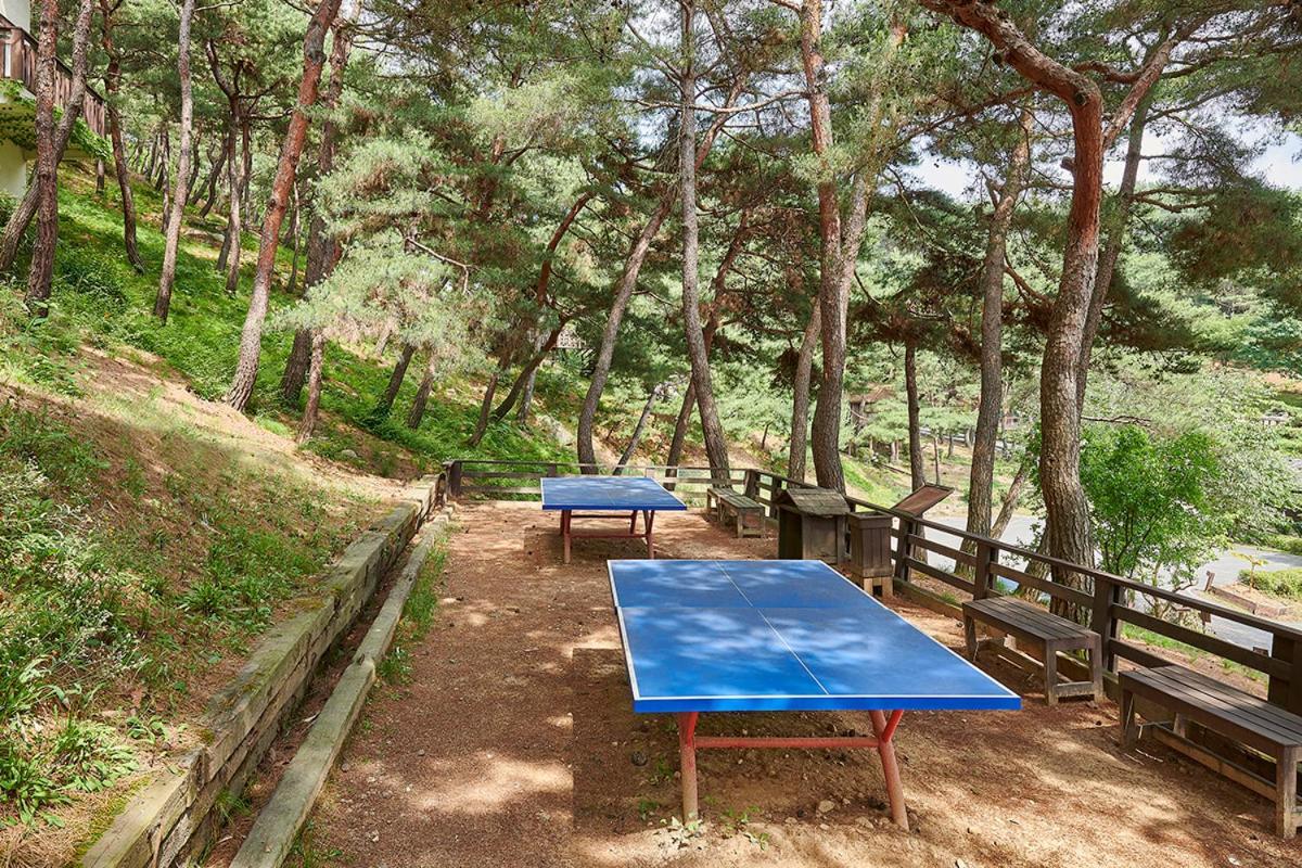 Club Es Jecheon Resort Chech'ŏn Exterior foto